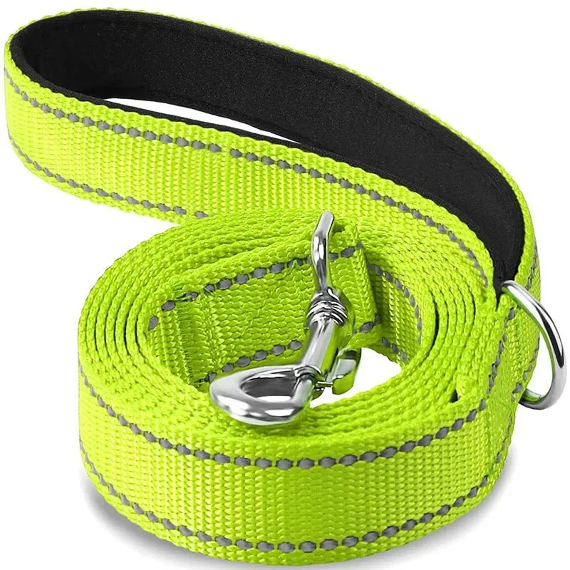 Laisse Nylon Réfléchissante Gros Chien