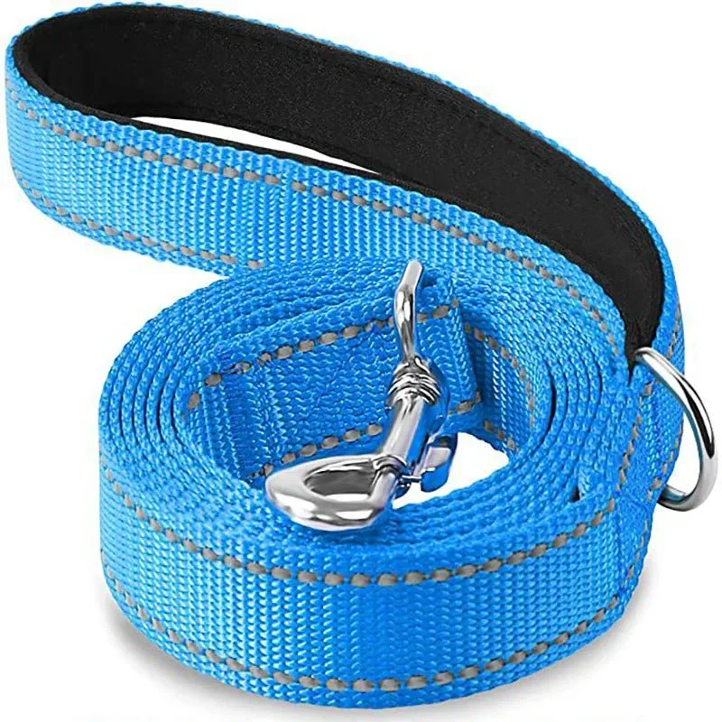Laisse Nylon Réfléchissante Gros Chien