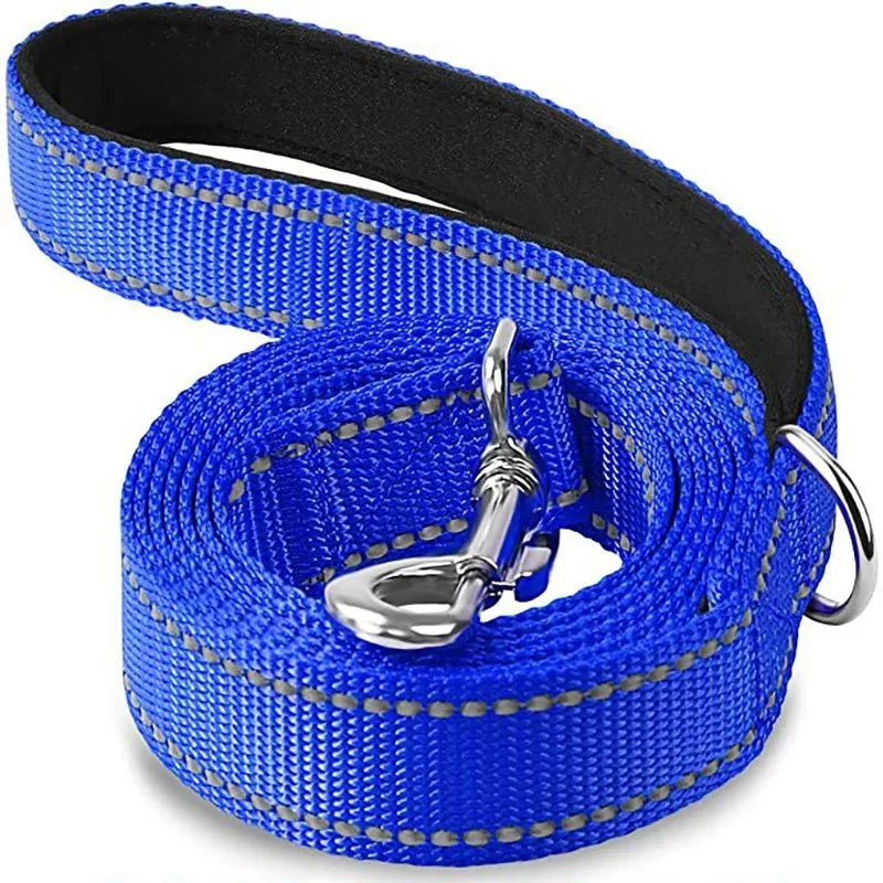 Laisse Nylon Réfléchissante Gros Chien