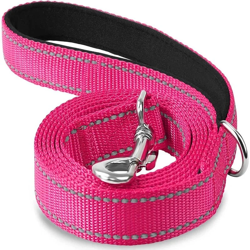 Laisse Nylon Réfléchissante Gros Chien