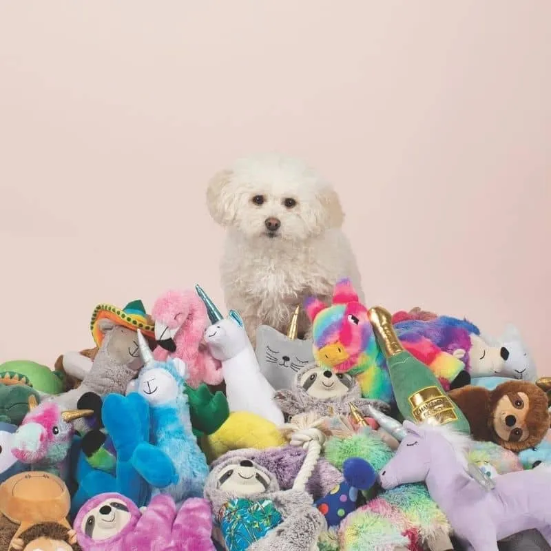 TRIO DE PELUCHES ANNIVERSAIRE POUR CHIEN - CUPCAKE, CHAPEAU ET COCARDE 🎂