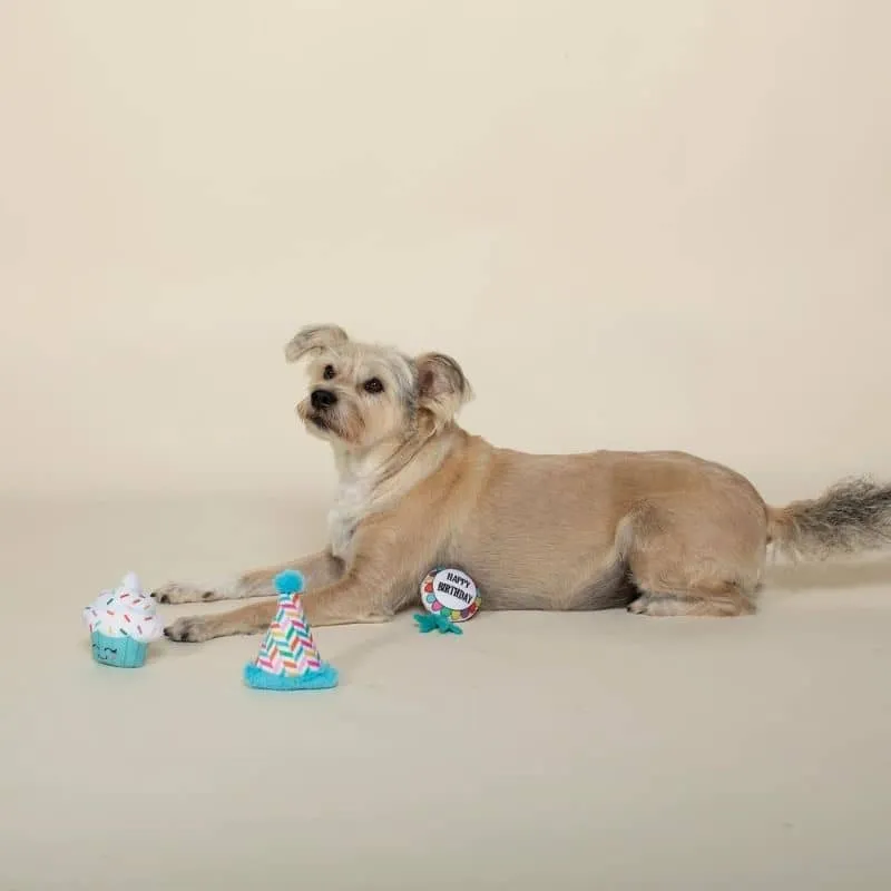 TRIO DE PELUCHES ANNIVERSAIRE POUR CHIEN - CUPCAKE, CHAPEAU ET COCARDE 🎂