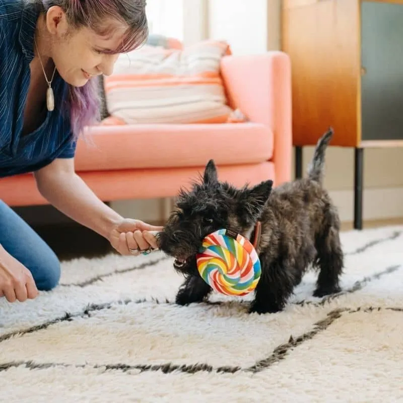 PELUCHE POUR CHIEN - SUCETTE 🍭 (2 TAILLES DISPO)
