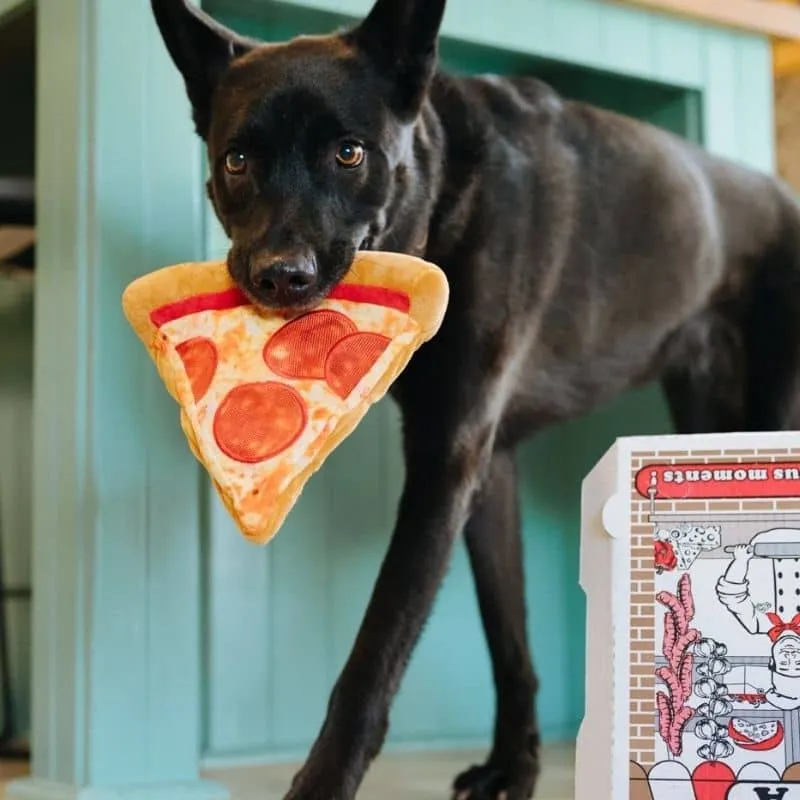 PELUCHE POUR CHIEN - PART DE PIZZA 🍕 (2 TAILLES DISPO)