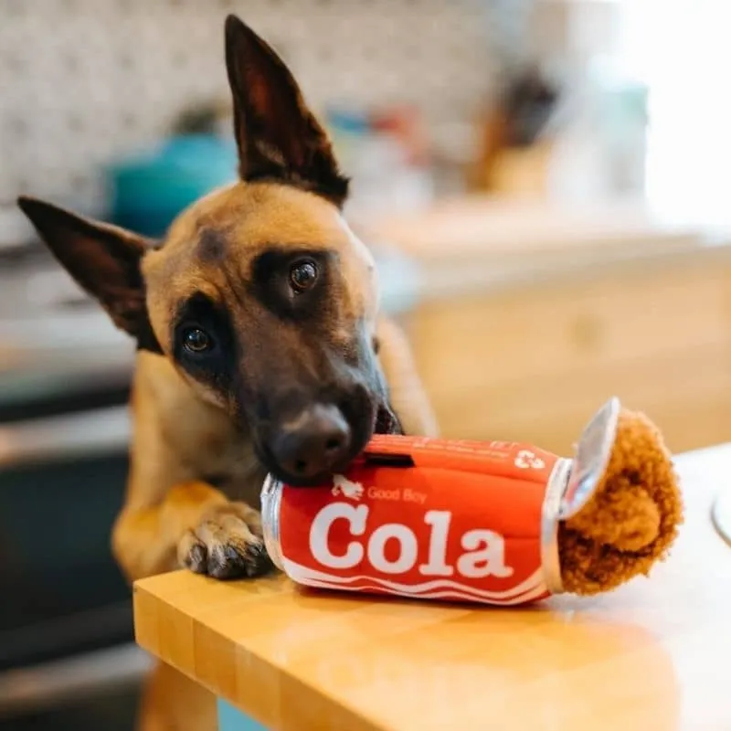 PELUCHE POUR CHIEN - CANETTE DE COLA (2 TAILLES DISPO)