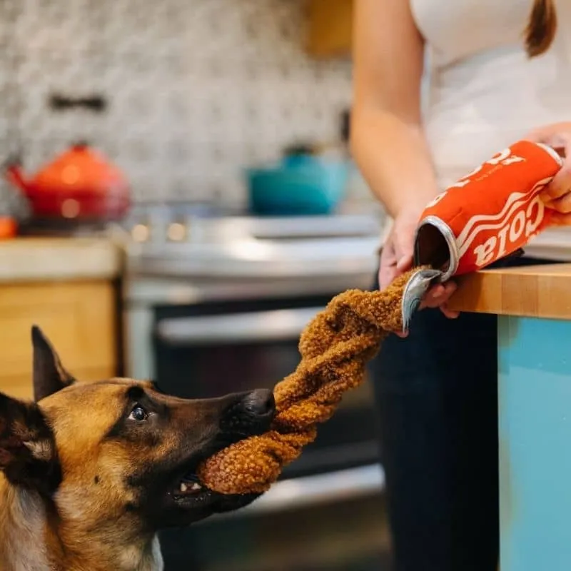 PELUCHE POUR CHIEN - CANETTE DE COLA (2 TAILLES DISPO)