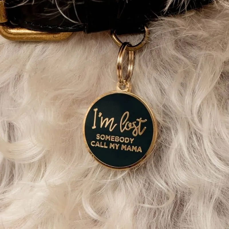 MÉDAILLE POUR CHIEN - I'M LOST SOMEBODY CALL MY MAMA 😱