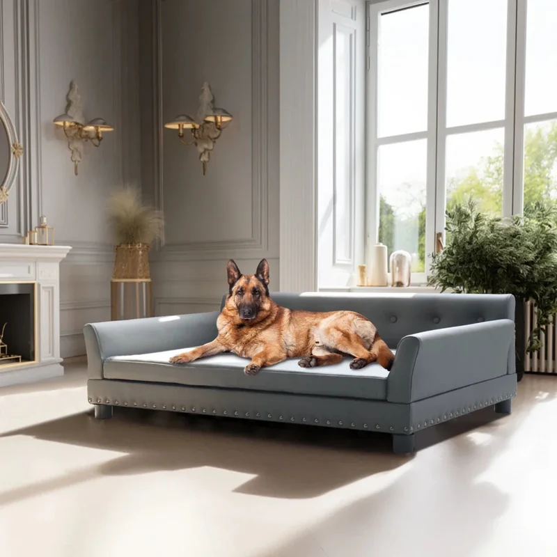 Canapé XXL Mémoire de Forme Gros Chien