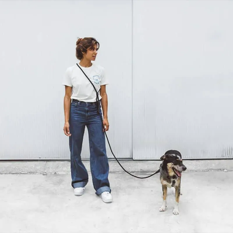 LAISSE MAINS-LIBRES POUR CHIEN - NOIR
