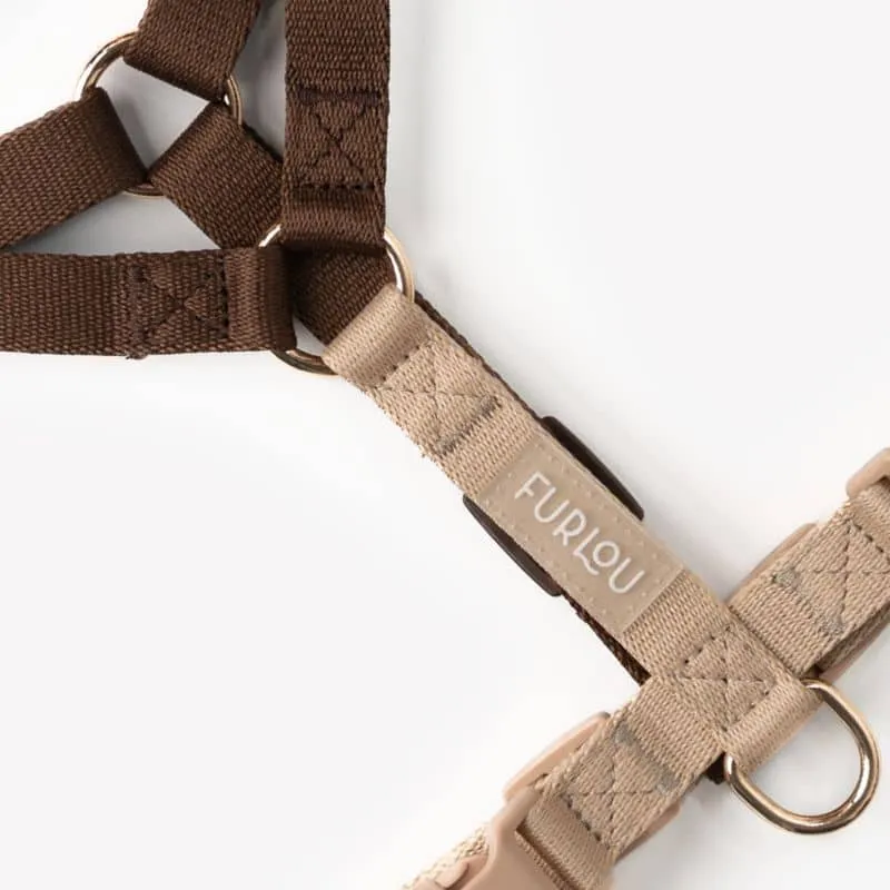 🆕 HARNAIS STRAP (EN H) POUR CHIEN - PUPPACCINO