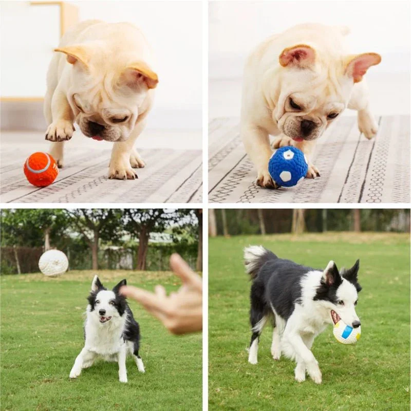 Jouet Sonore Ballon Ultra-Résistant Gros Chien