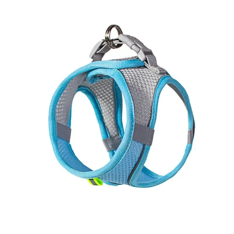 Harnais Mesh Petit Compagnon Foyer Canin
