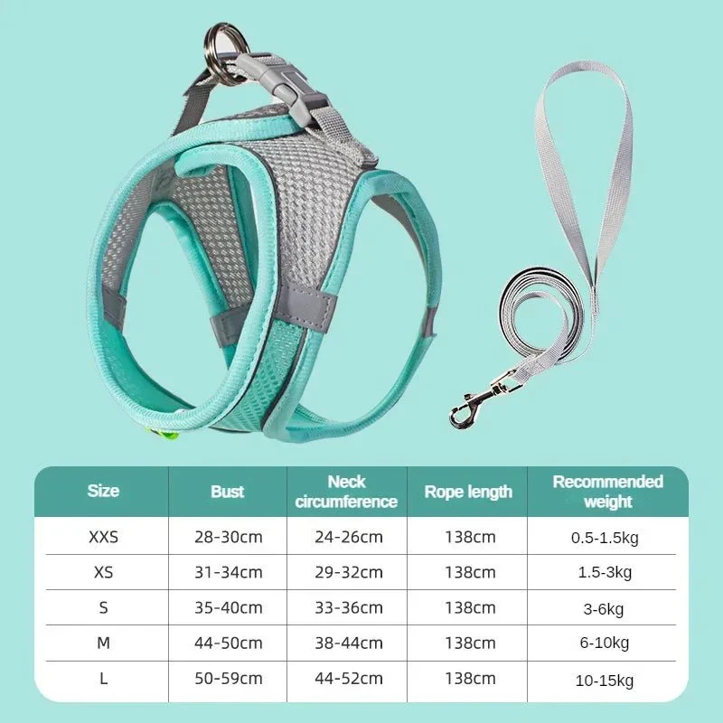 Harnais Mesh Petit Compagnon Foyer Canin