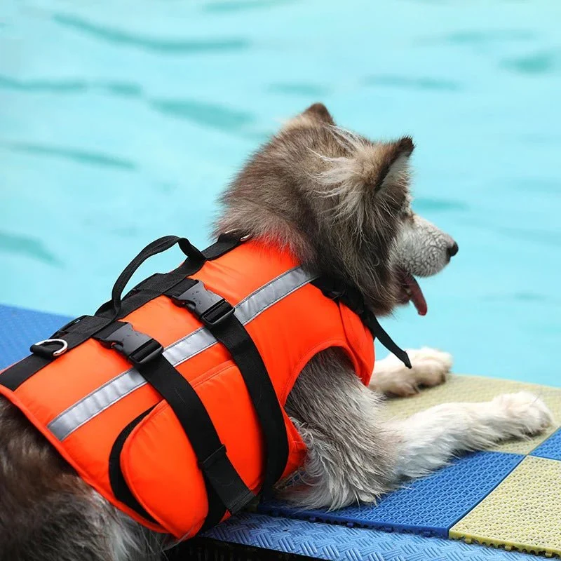 Gilet Sauvetage Réfléchissant Nage Chien