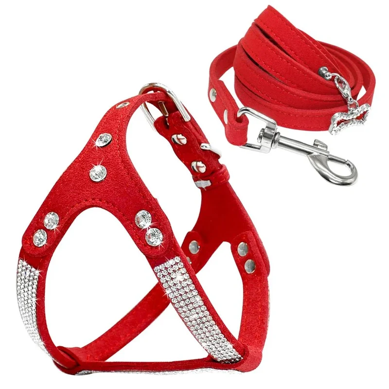 Harnais Strass Set Avec Laisse Petit Chien