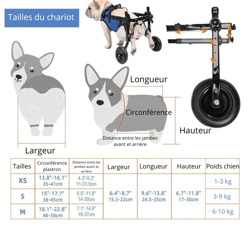 Chariot Roulant Pattes Arrière Chien Handicapé