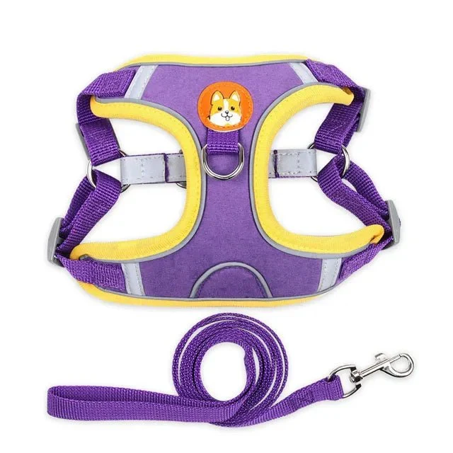 Harnais Anti-Traction Petit Chien Chiot