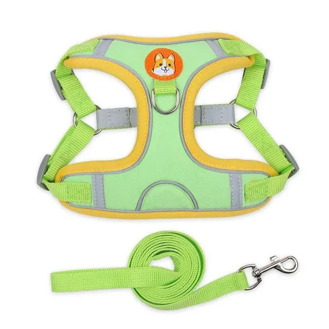 Harnais Anti-Traction Petit Chien Chiot