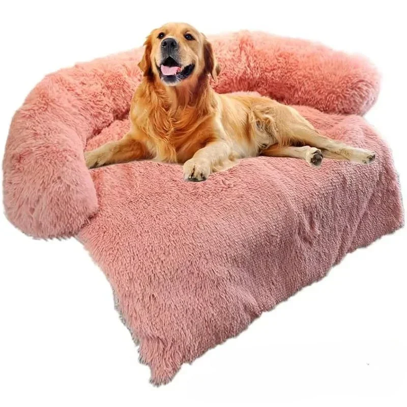 Coussin Canapé Protection Sofa Gros Chien
