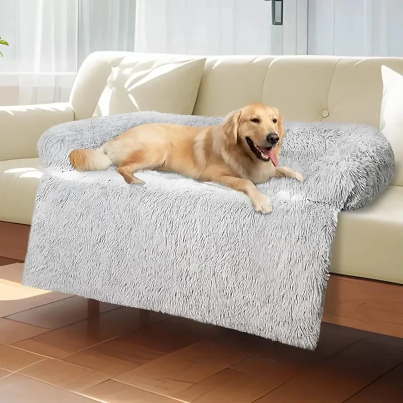 Coussin Canapé Protection Sofa Gros Chien
