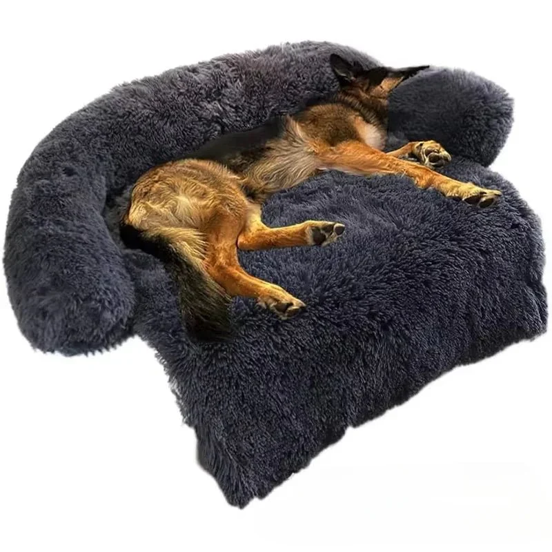Coussin Canapé Protection Sofa Gros Chien