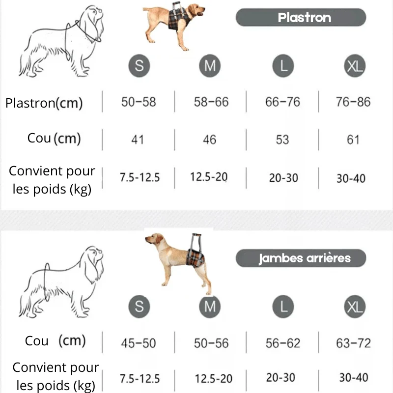 Harnais de Portage Soulagement Gros Chien