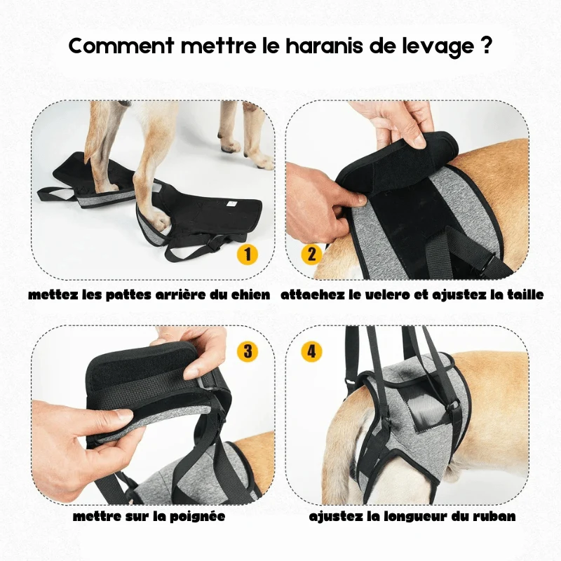 Harnais Soulagement Articulations Gros Chien