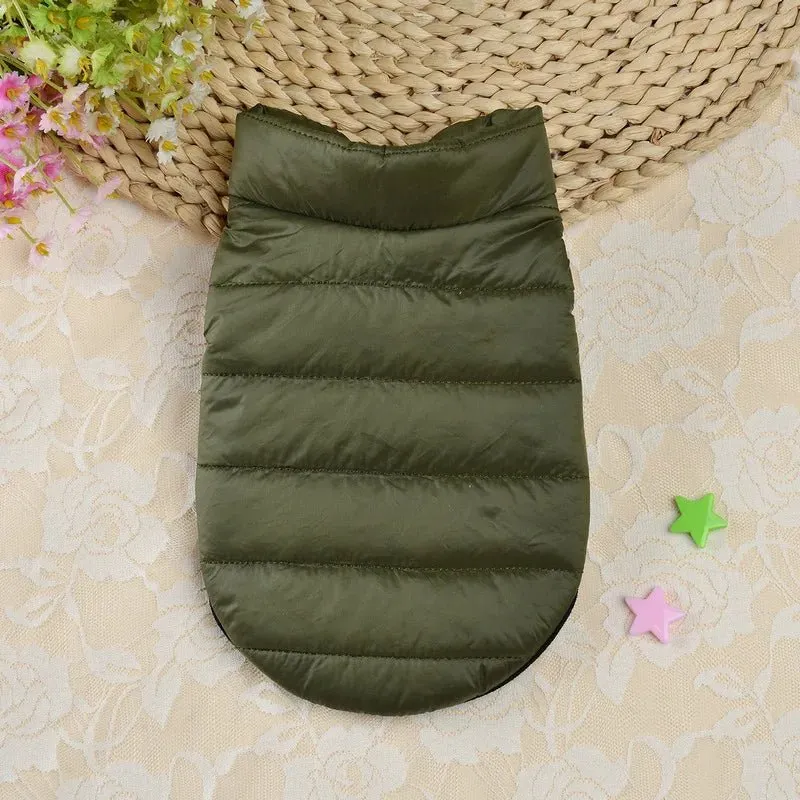 Manteau Hiver Chaud Petit Chien