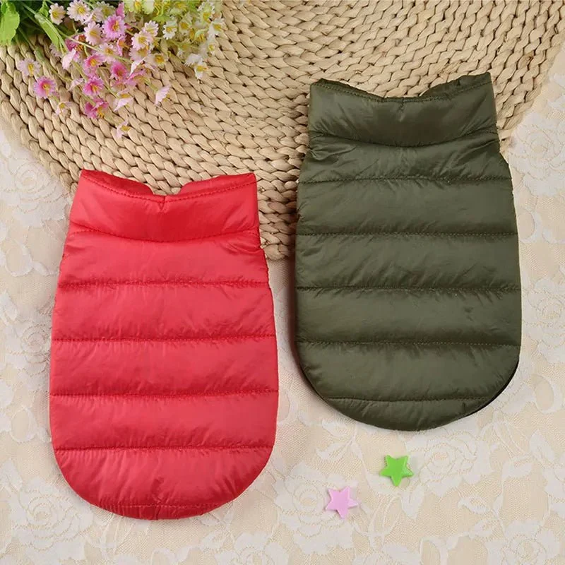 Manteau Hiver Chaud Petit Chien