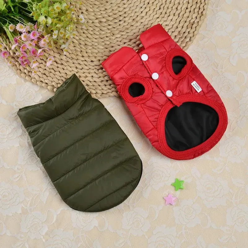 Manteau Hiver Chaud Petit Chien
