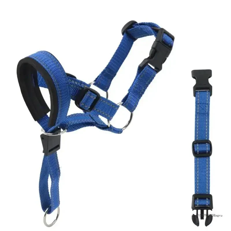 Licol Éducatif Nylon Gros Chien Réglable