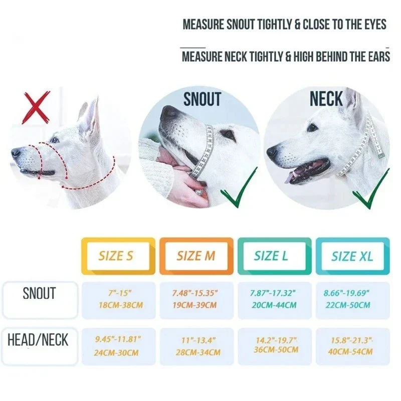 Licol Éducatif Nylon Gros Chien Réglable
