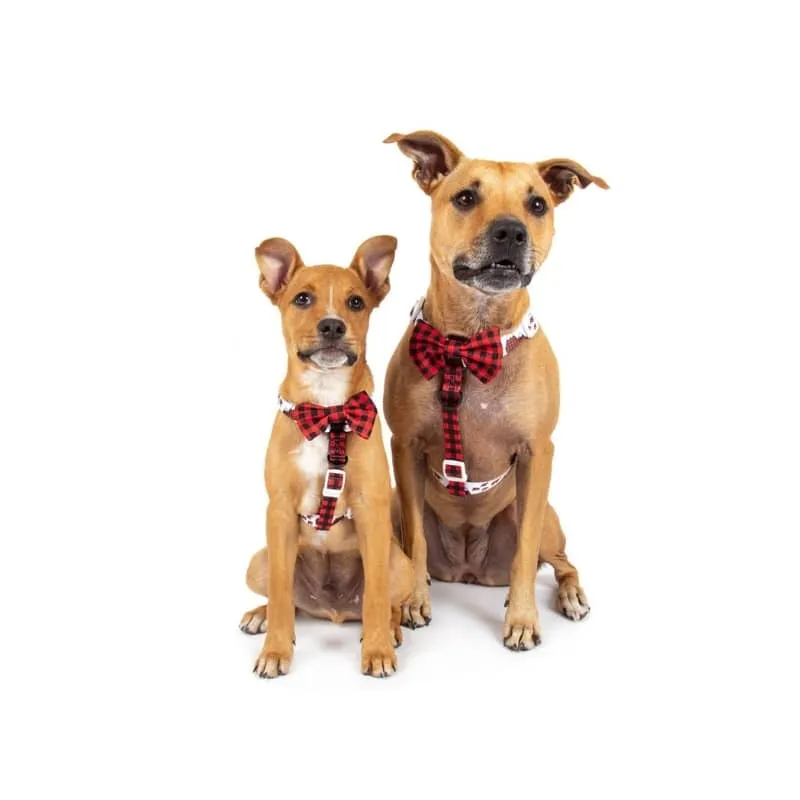 HARNAIS POUR CHIEN STRAP AVEC NOEUD PAPILLON - TARTAN ET MONTAGNE ⛰️🐻