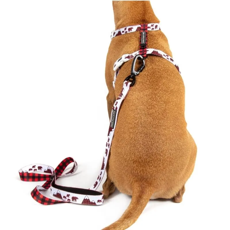 HARNAIS POUR CHIEN STRAP AVEC NOEUD PAPILLON - TARTAN ET MONTAGNE ⛰️🐻