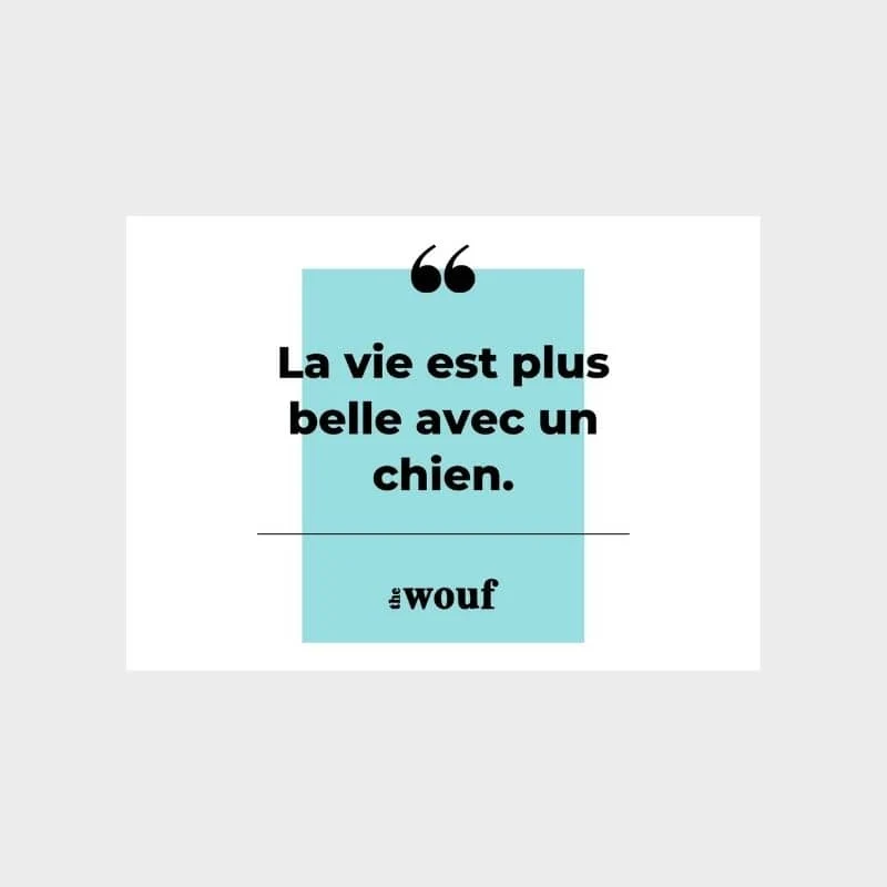 CARTE-CADEAU THE WOUF 🎁
