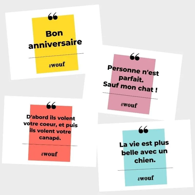 CARTE-CADEAU THE WOUF 🎁