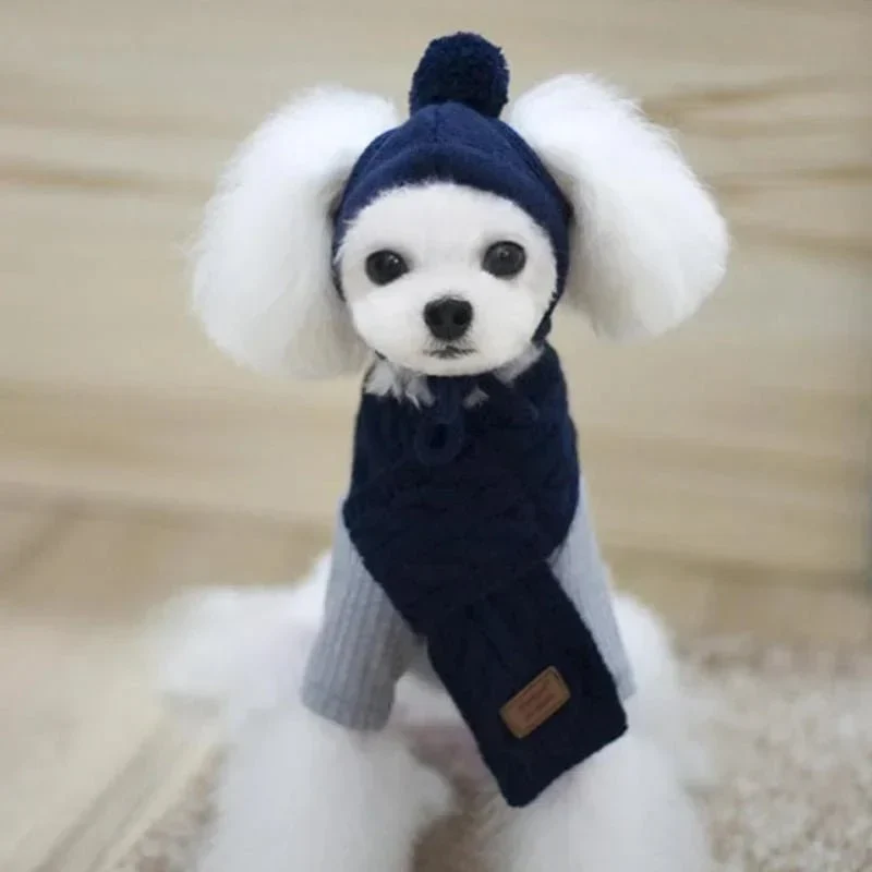Bonnet Tricot Écharpe Chien Hiver