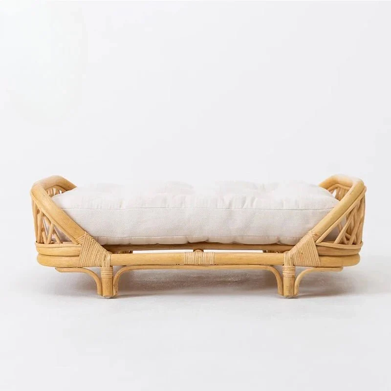 Panier Rotin Naturel Design Chien