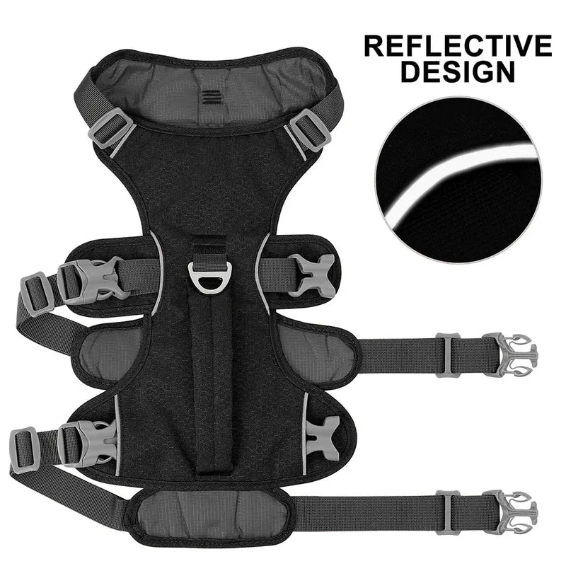 Harnais Vétérinaire Anti-Traction Confort Chien
