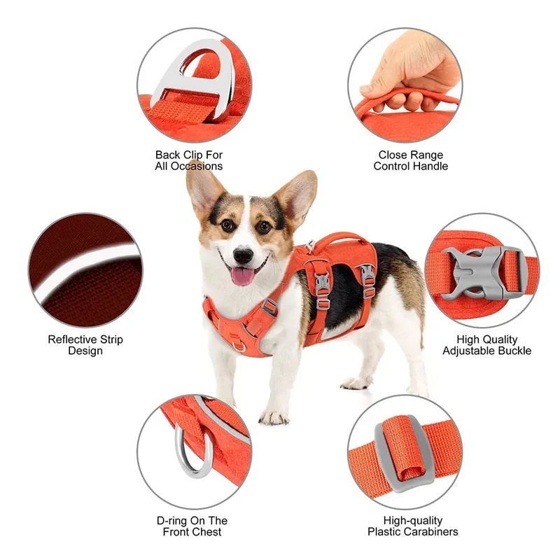 Harnais Vétérinaire Anti-Traction Confort Chien