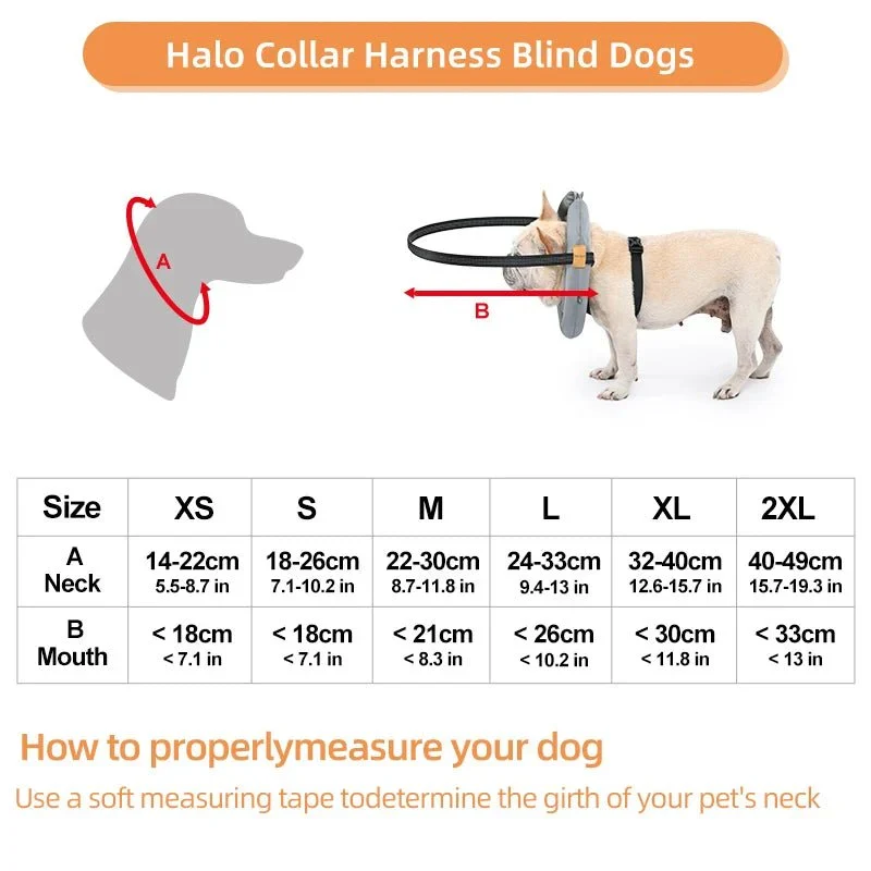 Harnais Anti-Collision Chien Aveugle Confort