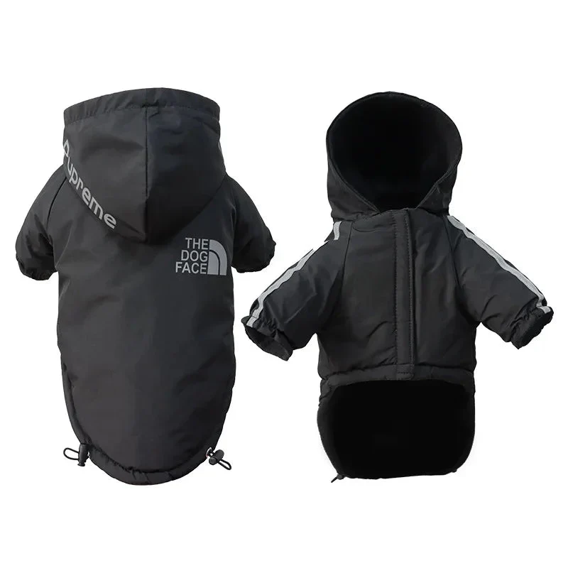 Manteau Capuche Doudoune Petit Chien Hiver