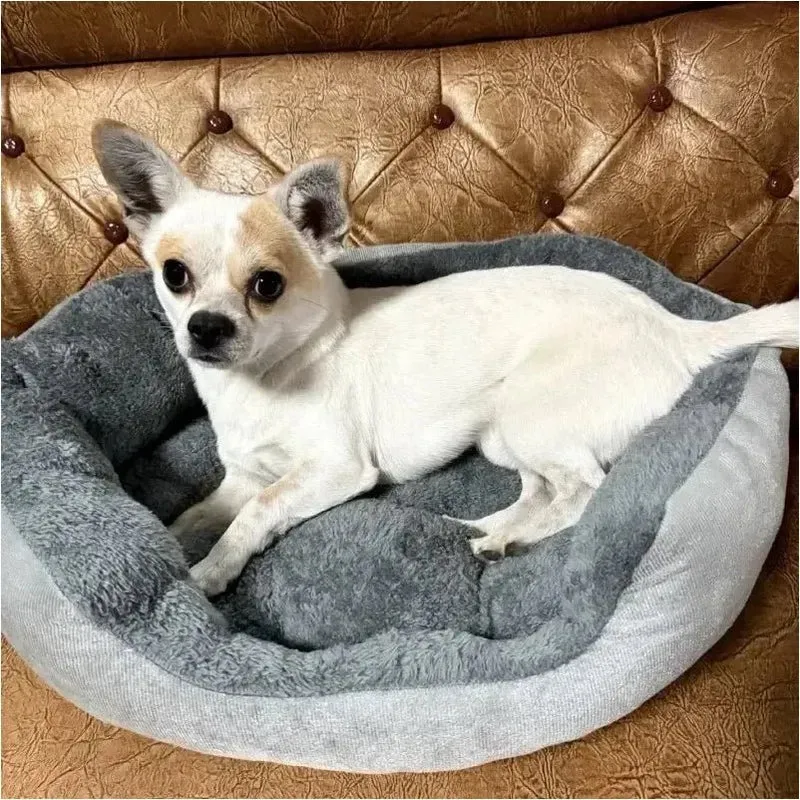 Panier Confort Chien Chihuahua Petit Gabarit