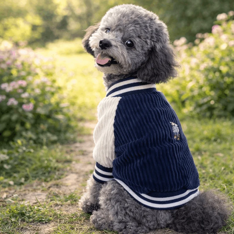 Manteau Baseball Confortable Petit Chien