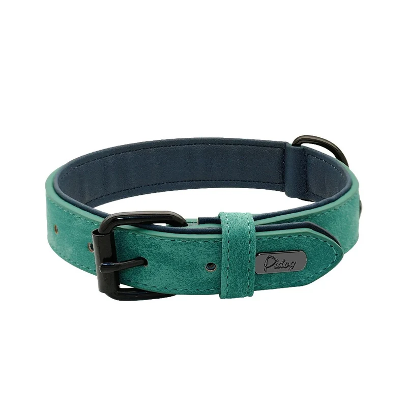 Collier Cuir Rembourré Vert Molosse