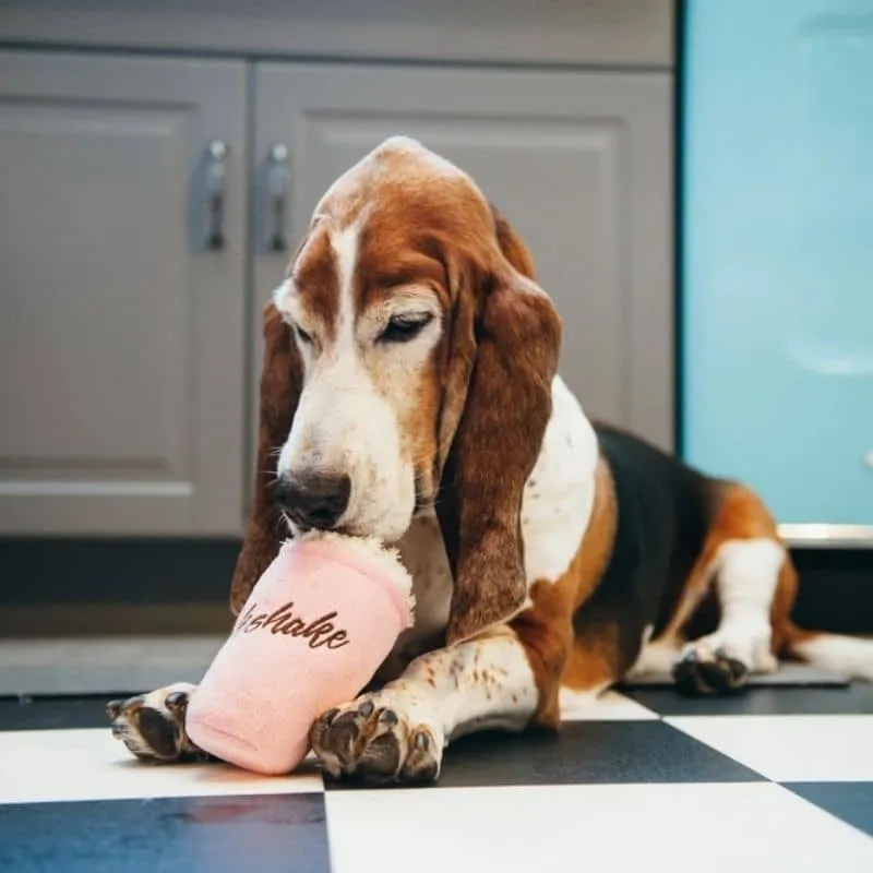 PELUCHE POUR CHIEN - MILKSHAKE (2 TAILLES DISPO)