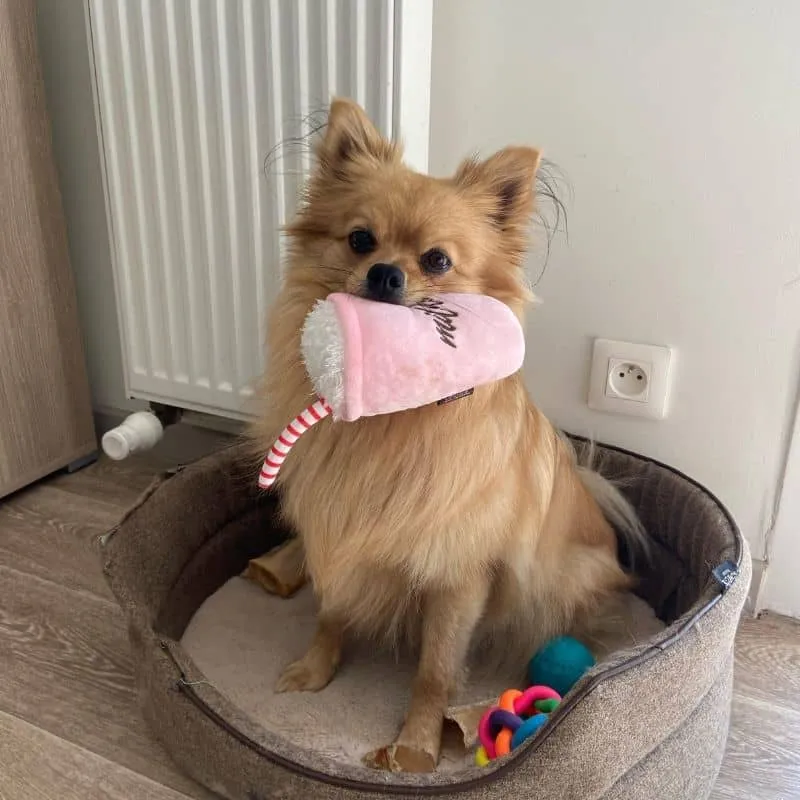 PELUCHE POUR CHIEN - MILKSHAKE (2 TAILLES DISPO)