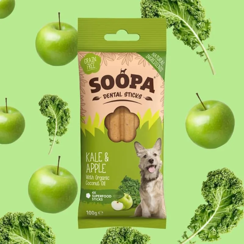 BÂTONNETS DENTAIRES À MÂCHER POUR CHIEN - CHOU KALE ET POMME
