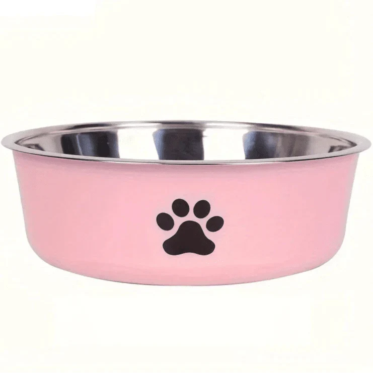 Gamelle Inox Antidérapante Colorée Chien