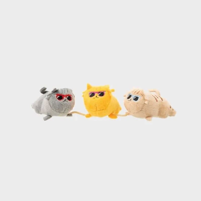 JOUET POUR CHAT À L’HERBE À CHAT - TRIO DE CHATONS HIPSTER